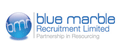 Blue Marble Recruitment